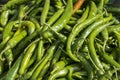 Close up of green chili pepper Royalty Free Stock Photo