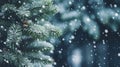 Close up green Christmas tree branches in snow background Royalty Free Stock Photo