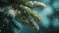 Close up green Christmas tree branches in snow background Royalty Free Stock Photo