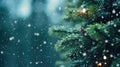 Close up green Christmas tree branches in snow background Royalty Free Stock Photo