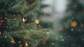 Close up green Christmas tree branches in snow background Royalty Free Stock Photo