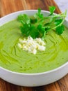 Close up of green cold spinach soup Royalty Free Stock Photo