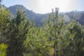 Mountains foggy white blue sky. Chinese autumn mountains. Royalty Free Stock Photo