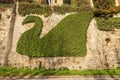 Creeper Plant In The Shape Of A Swan - Bergamo Upper Town Lombardy Italy