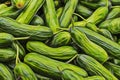 Close up green cucumbers on market stand Royalty Free Stock Photo