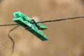 Close-up of a green dirty plastic clothespin hanging on a wire Royalty Free Stock Photo