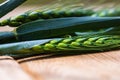 Close up of green ears of wheat isolated Royalty Free Stock Photo