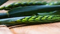 Close up of green ears of wheat isolated Royalty Free Stock Photo