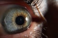 Green females eye, detailed picture of human being vision, macro shot of human eye