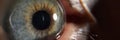 Green females eye, detailed picture of human being vision, macro shot of human eye
