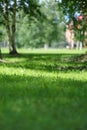Close up green grass field with blur park background. shallow DOF, vertical. sunny country yard. Royalty Free Stock Photo