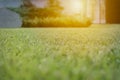 Close up green grass field with blur park background,Spring and summer concept Royalty Free Stock Photo