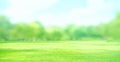 Close up green grass field Royalty Free Stock Photo