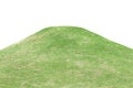 Green grass field hill with dried leaves isolated on white background , clipping path