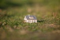 Close up of green grass field with model house. Royalty Free Stock Photo