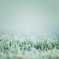 Close up of green grass with frost, winter background