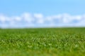 Close up of green grass golf field with blue sky Royalty Free Stock Photo