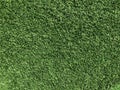 Close up green grass texture for background, fresh lawn Royalty Free Stock Photo