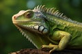 Close Up of Green Iguana Animal. Generative AI