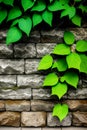 green ivy and brick wall , AI Generated