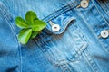 Close-up of a green leaf in a blue denim jacket pocket. A concept of sustainable slow fashion, circular economy, eco friendly