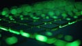 Close-up of green led-illuminated keyboard with blurred bokeh effect
