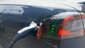 CLOSE UP: Green lights flicker and signal the electric car is fully charged. Royalty Free Stock Photo