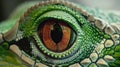 A close up of a green lizard eye with a red iris Royalty Free Stock Photo