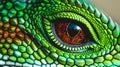 A close up of a green lizard eye with red iris Royalty Free Stock Photo