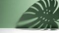 Close-up of Green Monstera Leaf with Shadows and Light Royalty Free Stock Photo