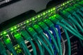 Close up of green network cables connected to switch glowing Royalty Free Stock Photo