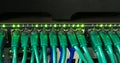 Close up of green network cables connected to switch glowing Royalty Free Stock Photo