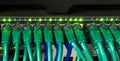 Close up of green network cables connected to switch glowing Royalty Free Stock Photo