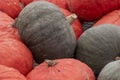 Close up of green and orange pumpkins ready for market Royalty Free Stock Photo