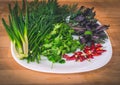 Close up of green organic herbs, basil, coriander, fennel, green onion, red chili peppers on white plate, rustic wooden background Royalty Free Stock Photo