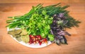 Close up of green organic herbs, basil, coriander, fennel, green onion, red chili peppers on white plate, rustic wooden background Royalty Free Stock Photo