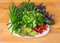 Close up of green organic herbs, basil, coriander, fennel, green onion, red chili peppers on white plate, rustic wooden background Royalty Free Stock Photo