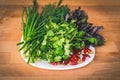 Close up of green organic herbs, basil, coriander, fennel, green onion, red chili peppers on white plate, rustic wooden background Royalty Free Stock Photo