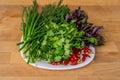 Close up of green organic herbs, basil, coriander, fennel, green onion, red chili peppers on white plate, rustic wooden background Royalty Free Stock Photo