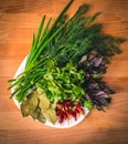 Close up of green organic herbs, basil, coriander, fennel, green onion, red chili peppers on white plate, rustic wooden background Royalty Free Stock Photo