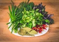 Close up of green organic herbs, basil, coriander, fennel, green onion, red chili peppers on white plate, rustic wooden background Royalty Free Stock Photo