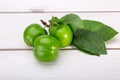 Close Up Of Green Plums Or Greengage fruit with leaves Isolated