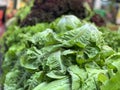 Close up of green and purple lettuce leaves at a local farm stand Royalty Free Stock Photo