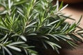 Close-up on green rosemary. Generative AI