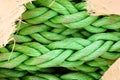 Close up of green ship vessel rope