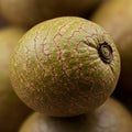 Close-up of a green skin with brown, veiny patterns resembling the surface of a fruit. T Royalty Free Stock Photo