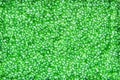 Green small water algae wolffia globosa or water meal texture top view background