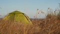 Close-up green tent camping beach in sun,dry meadow or field grass swaying in wind against backdrop of tent and sea,ocean.Summer Royalty Free Stock Photo