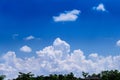 Green tree top with roof of home over on  beautiful blue sky and big clouds group for background Royalty Free Stock Photo