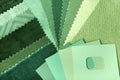 Green upholstery fabric texture and color choice for interior